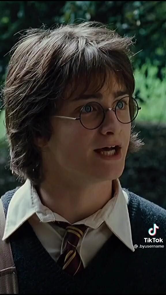 해리포터) 덤블도어가 스네이프의 진실을 숨긴 이유_2.jpg