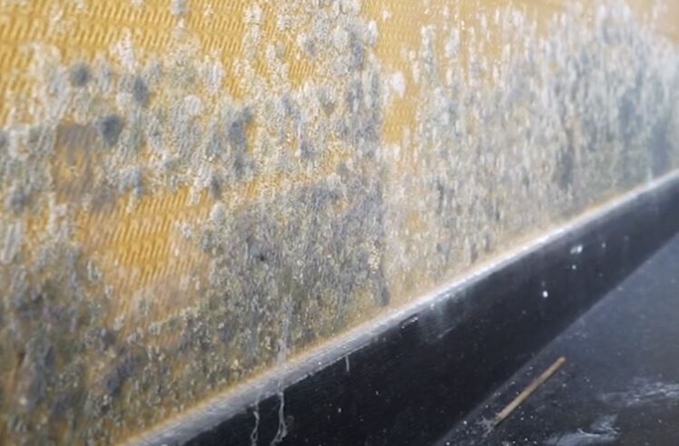 이 양반 열받을 만도 했네._4.jpg