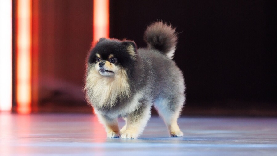 BTS) 엠카운트다운 무대 녹화한 뷔_4.jpg