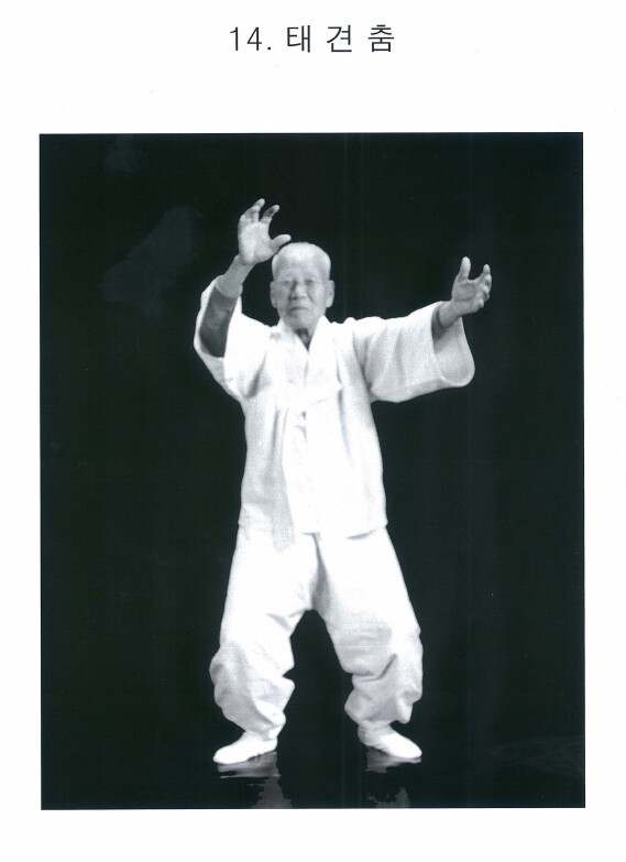 (초스압)오싹오싹 택견 근현대사 11편 -태껸춤과 정통성 논쟁 下편-_26.png