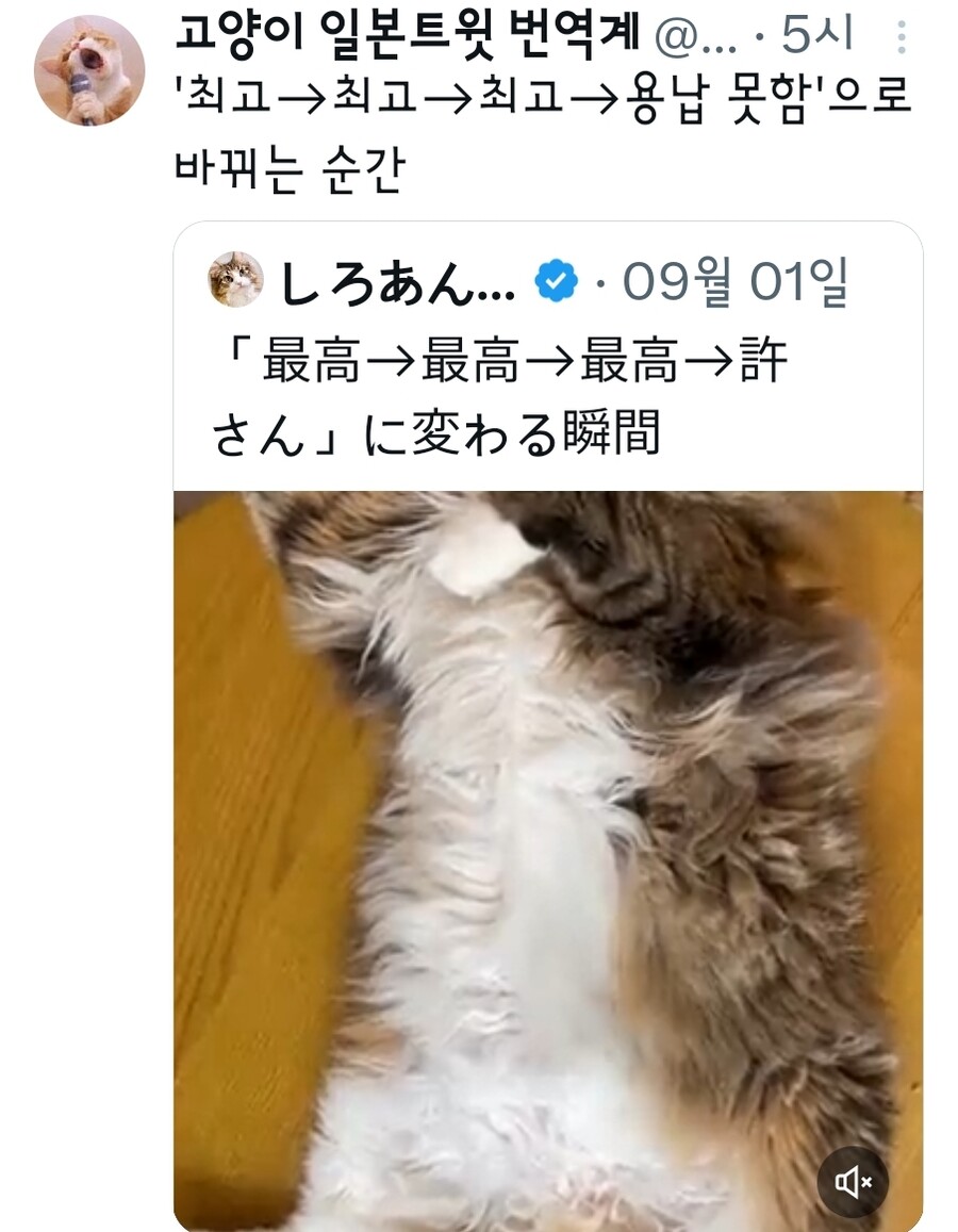 배는 안됨!!.gif_1.jpg