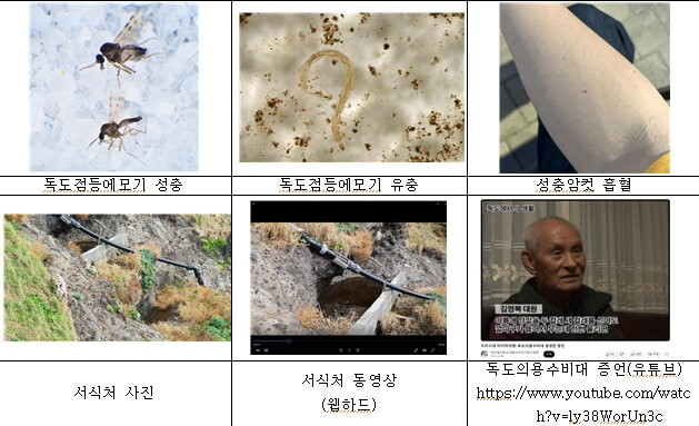 독도)점등에모기가 무서운 이유_3.jpg