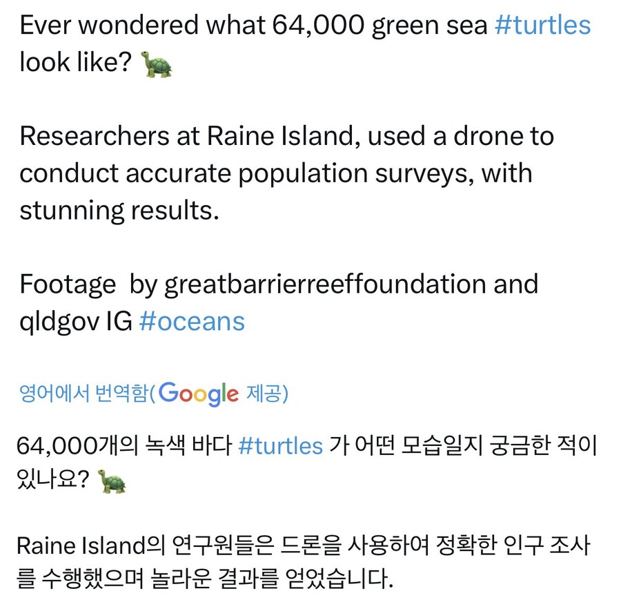 호주에서 발견된 64,000마리 바다 거북 ㄷㄷㄷㄷ_1.jpg