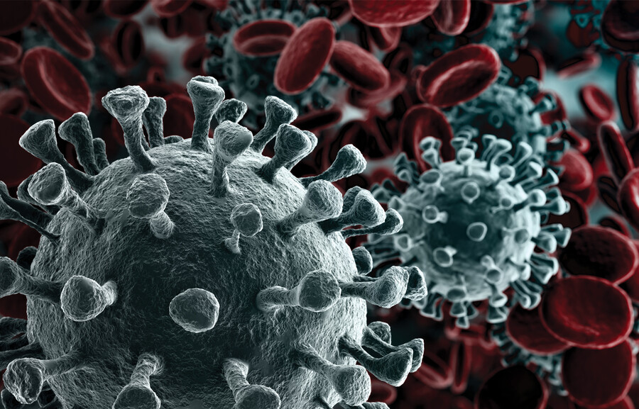 (데이터주의)오싹오싹 택견 근현대사 12편 - 옛법택견의 짧은 봄 -_7.jpg