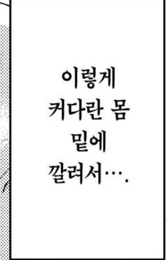 남자용사를 암컷으로 바꾸는 만화_5.png