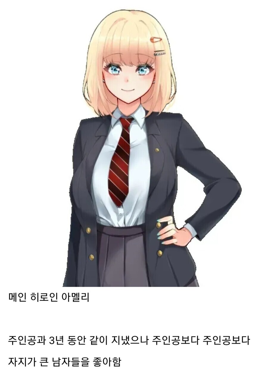 메인 히로인 루트만 있어서 제작사가 개같이 욕먹은 게임.jpg_1.jpeg
