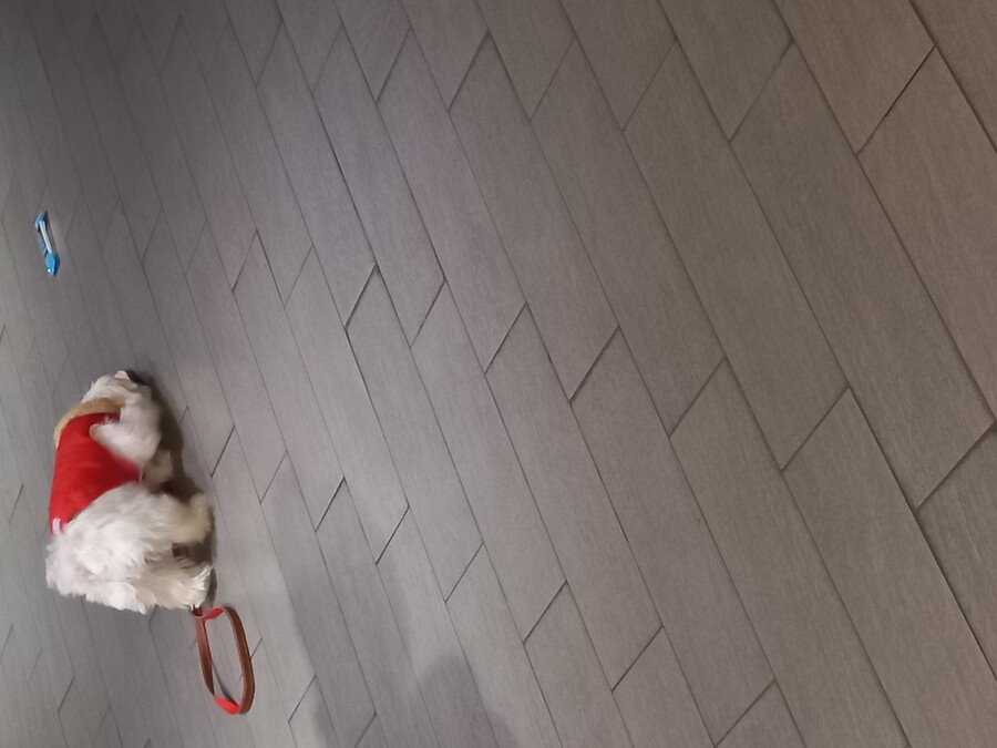 범죄) 엎어져서 안가려는 깽얼쥐_1.jpg