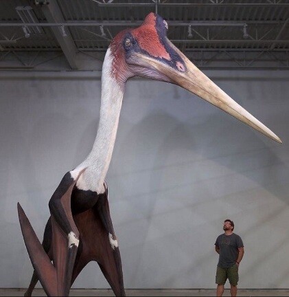 암약) 사랑과 지혜, 용기가 하나 될 때, 공룡의 왕이 강림한다!!.manga_3.jpg