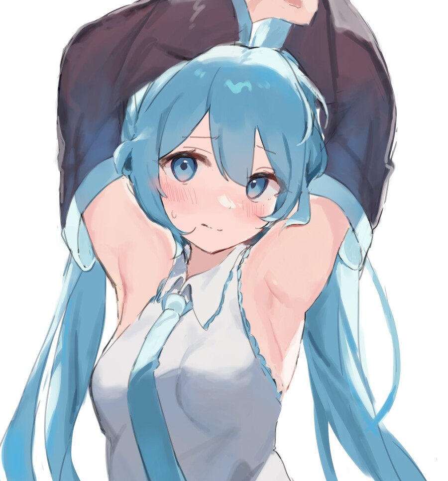 미쿠 겨드랑이_1.jpg
