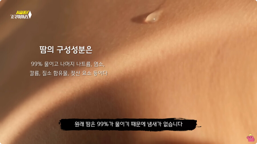 [스압] 한달 동안 머리를 감지 않으면 생기는 일.jpg_6.jpg