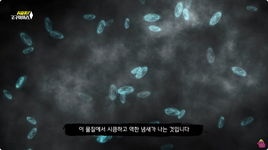 [스압] 한달 동안 머리를 감지 않으면 생기는 일.jpg_8.jpg
