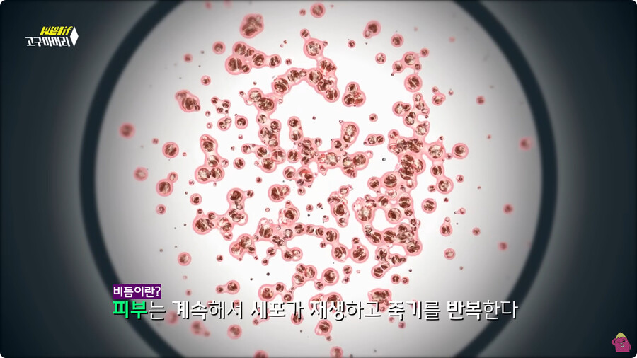[스압] 한달 동안 머리를 감지 않으면 생기는 일.jpg_26.jpg