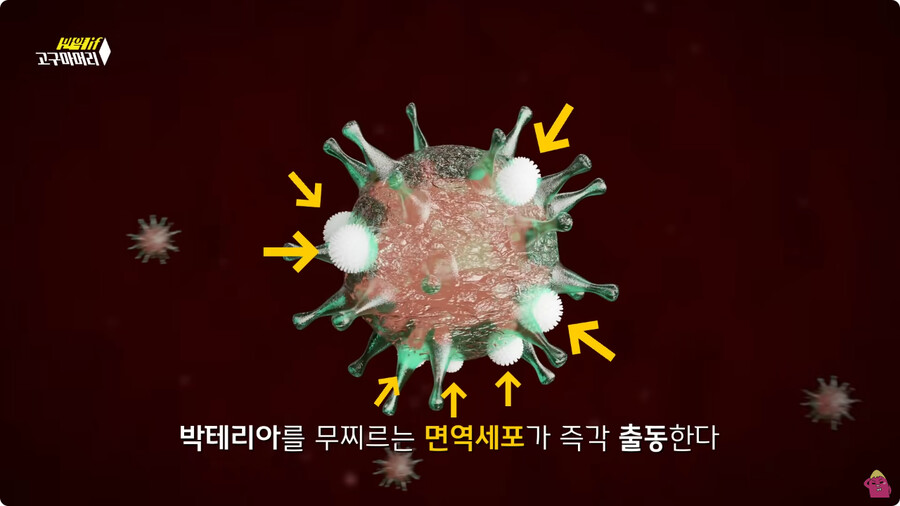 [스압] 한달 동안 머리를 감지 않으면 생기는 일.jpg_42.png