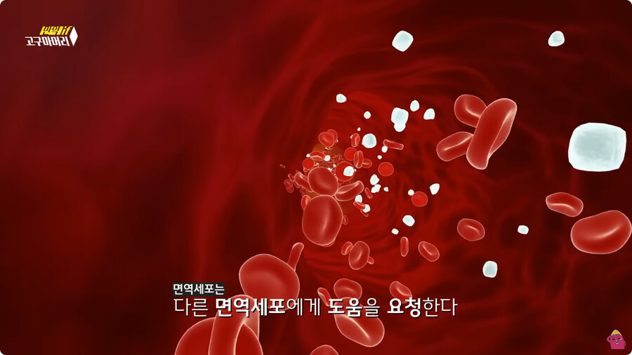 [스압] 한달 동안 머리를 감지 않으면 생기는 일.jpg_45.png