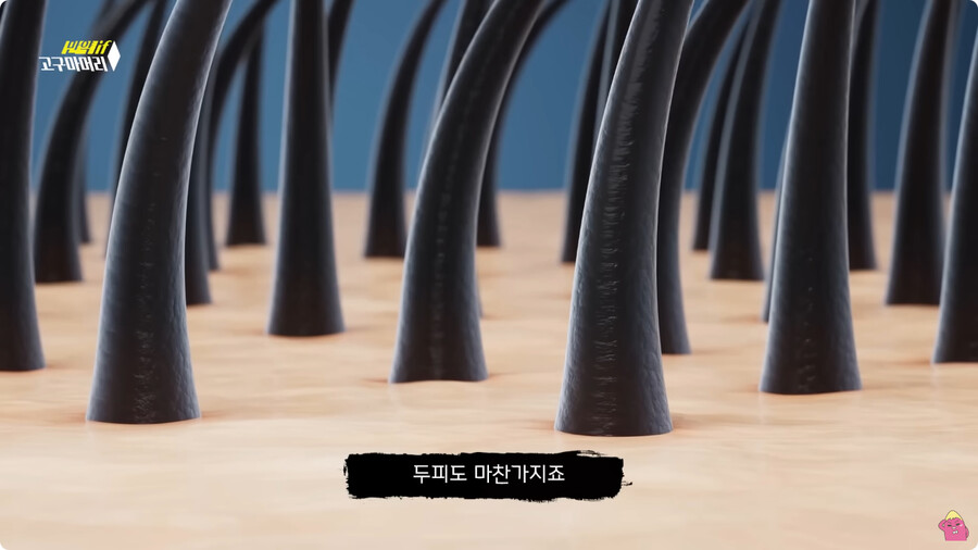 [스압] 한달 동안 머리를 감지 않으면 생기는 일.jpg_61.jpg