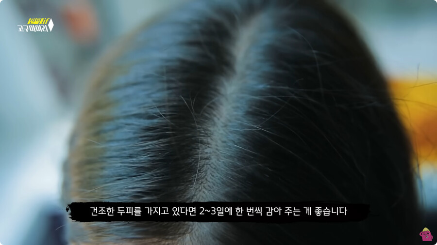 [스압] 한달 동안 머리를 감지 않으면 생기는 일.jpg_99.jpg