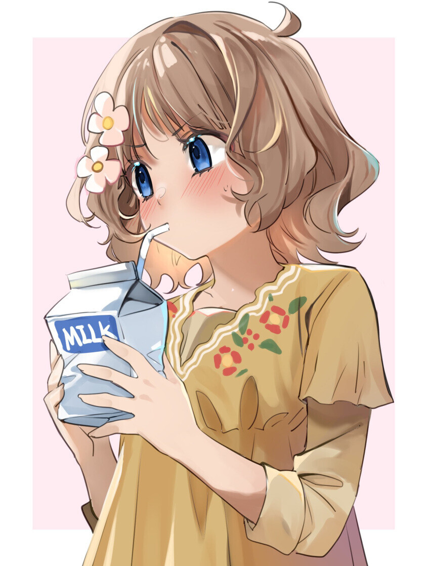 @) 모닝글로리.jpg_2.jpg