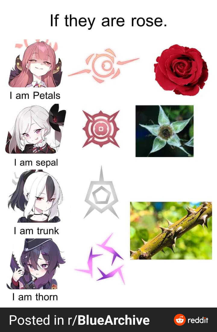 블루아카) 흥신소 헤일로의 비밀_1.jpg