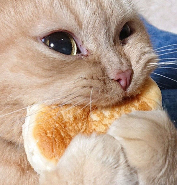 곧 사라지는 성진국의 열차문화_1.jpg