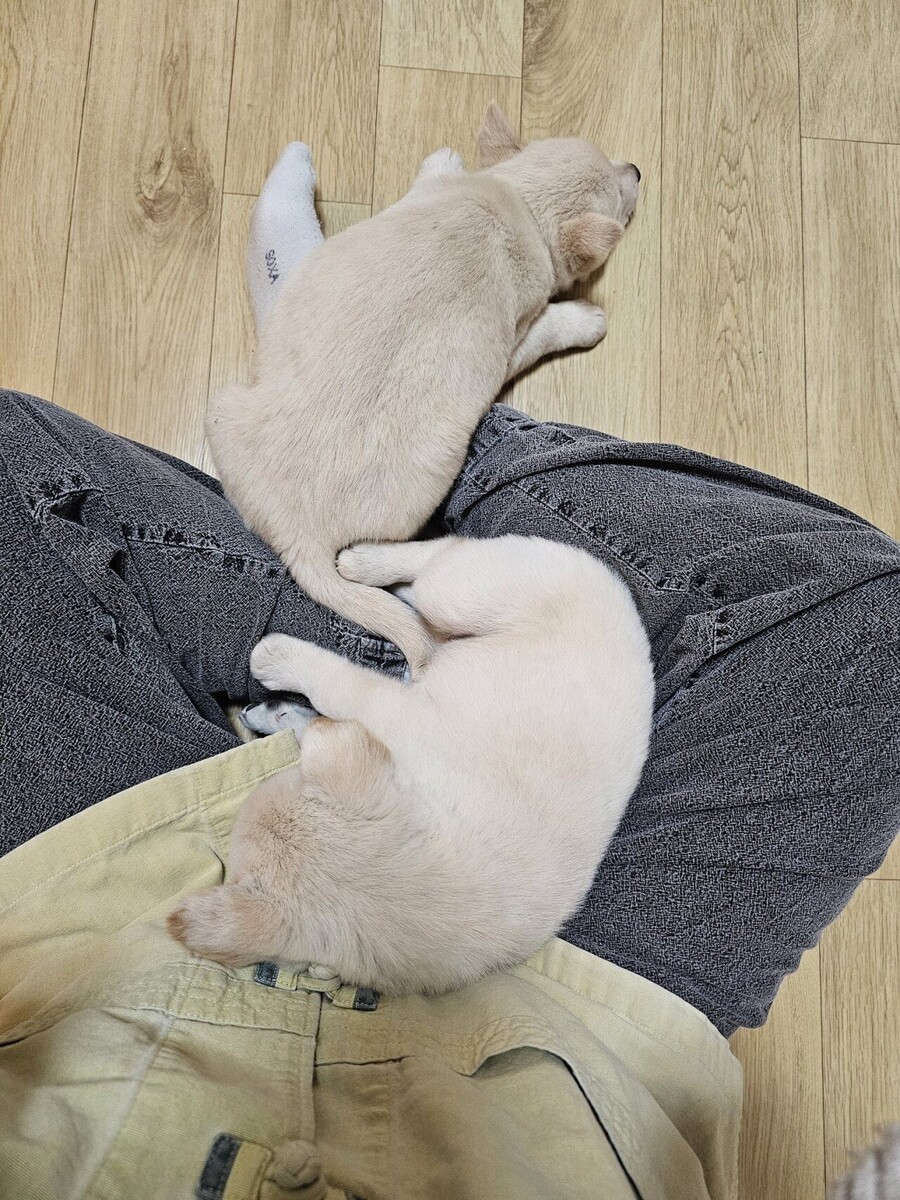 불교신자가 아니라도 템플스테이 가고 싶은 절_4.jpeg