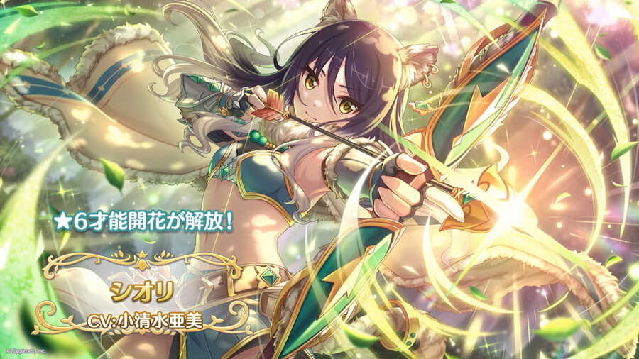 푸칫토 프리코네 tv 방송 정보 정리_14.png