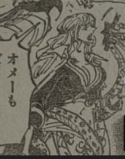 원피스)스포)뇽할멈의 새로운 사실_2.jpg