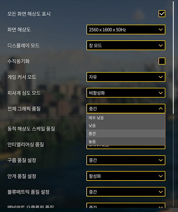 시티즈 스카이라인 2 최적화 옵션 (4090 및 저사양 포함)_3.png