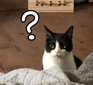 호에로펜) 픽션임을 주장하는 만화 수준_7.jpeg