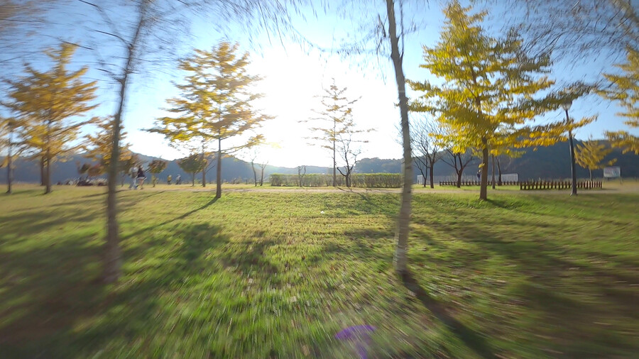 단풍 절정, 여주 강천섬에서 FPV 드론으로 힐링 비행_5.png