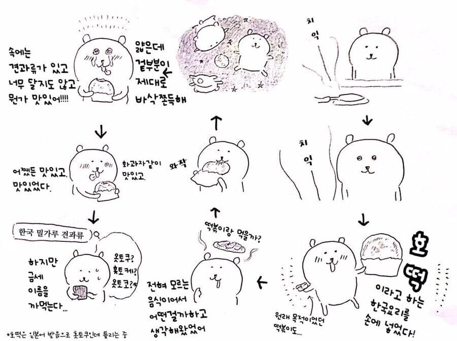 한국음식을 좋아하는 일본만화가_1.jpeg