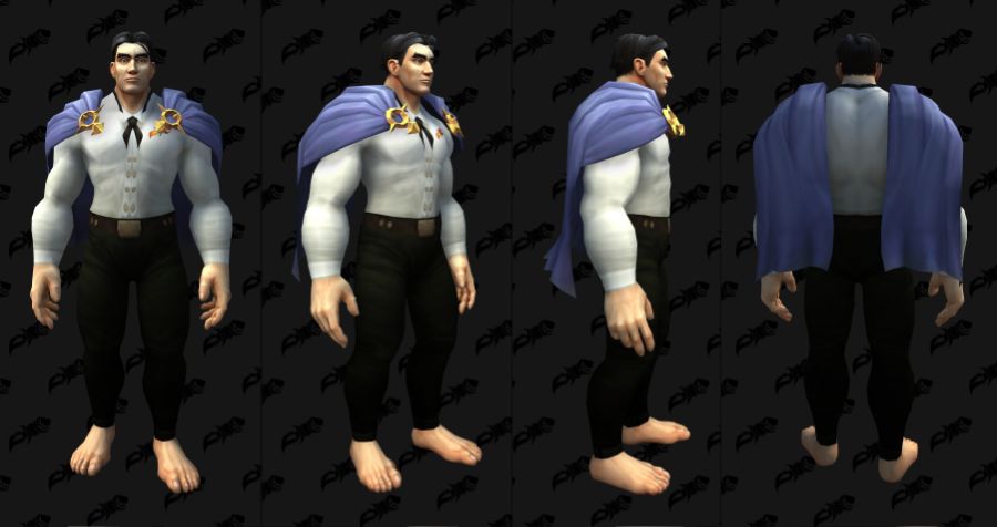 와우 용군단 10.2.5 어깨 위 망토 및 나비날개 망토 외형 추가_8.jpg