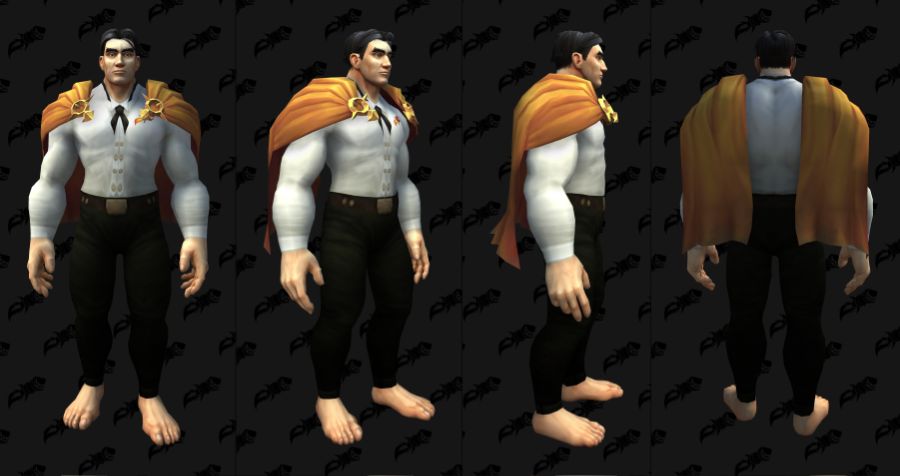 와우 용군단 10.2.5 어깨 위 망토 및 나비날개 망토 외형 추가_13.jpg