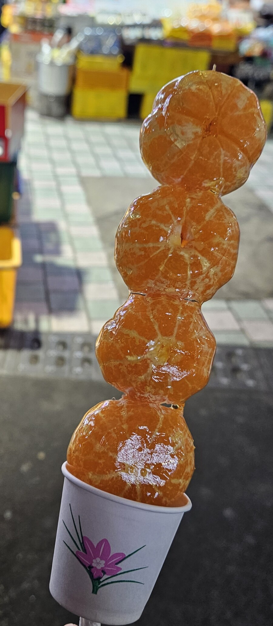제주도의 패기