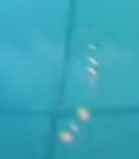 말딸 게임사 사이게임즈 최신근황.jpg_3.jpeg