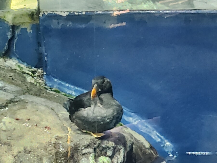 조아 -토피아 달린다._2.jpg