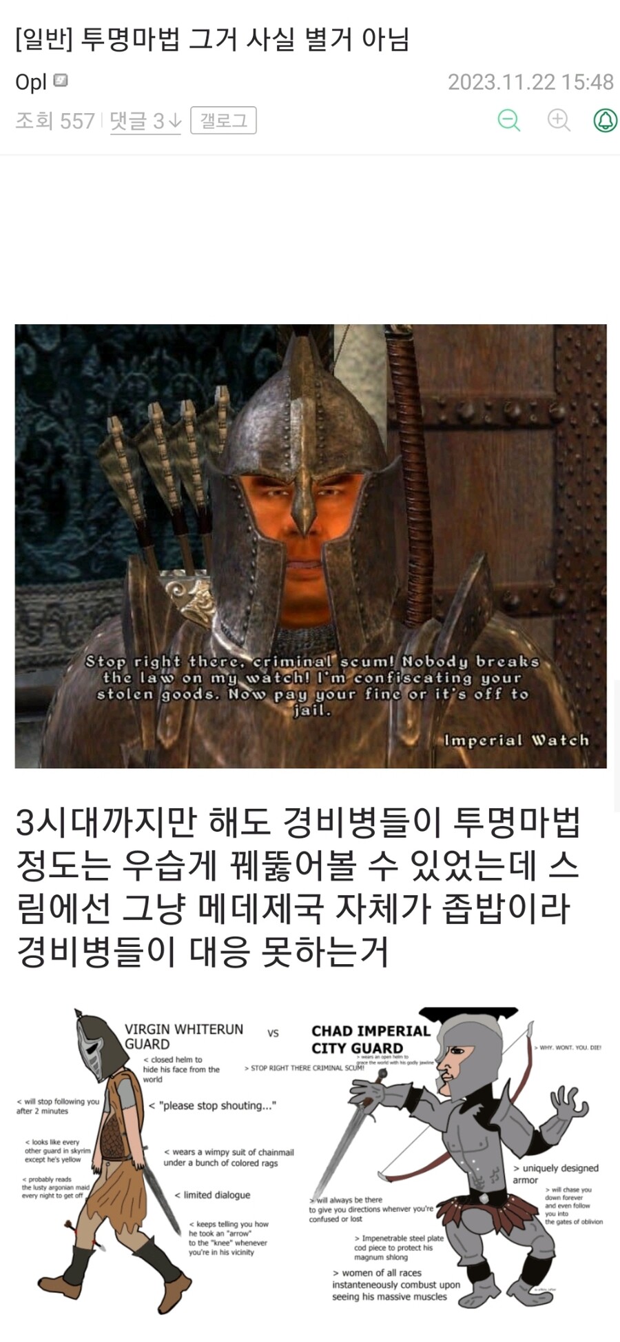 엘더스크롤) 투명마법 그거 사실 별거 아님.jpg_1.jpg