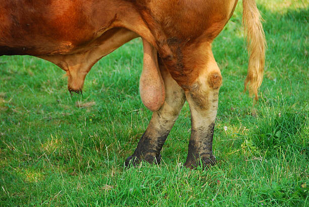 현재 논란되고있는 페미,롤. 정보종합 자료(추가중)_9.jpg