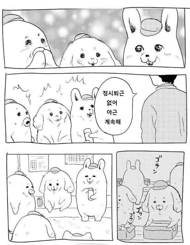 (기대) (희망) (초롱초롱한 눈빛)_1.jpg