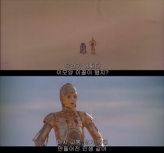 결국 사회에서는 나도 하나의 떨거지라 게 느껴지더라_1.jpg