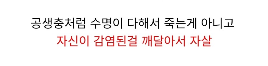 스타2) 감염된 테란의 비밀_1.jpg