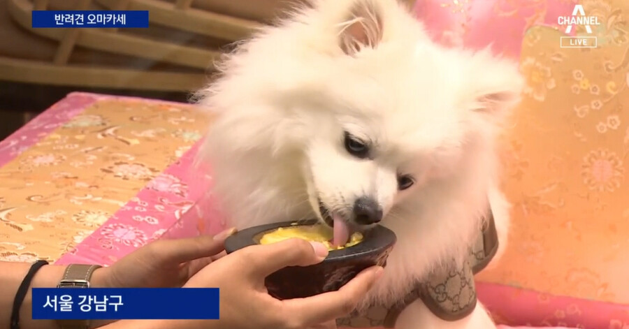 (오마카세) 오마카세 요즘 근황.JPG_2.png