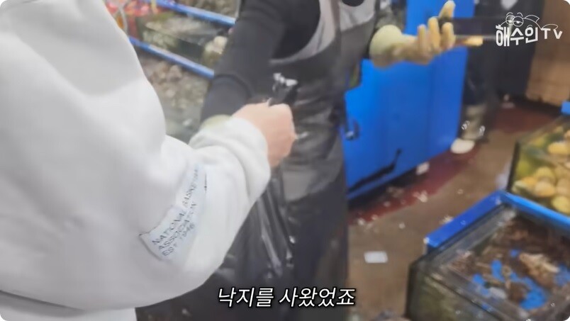 뭘 자꾸 사와서 키우는 유튜버_8.jpg