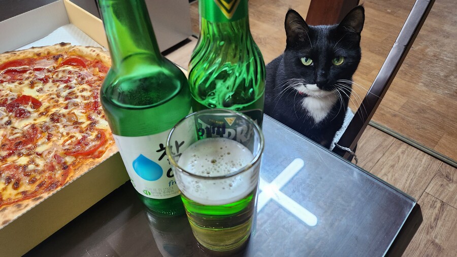 피자 만들어서 야옹이랑 한잔했다_7.jpg