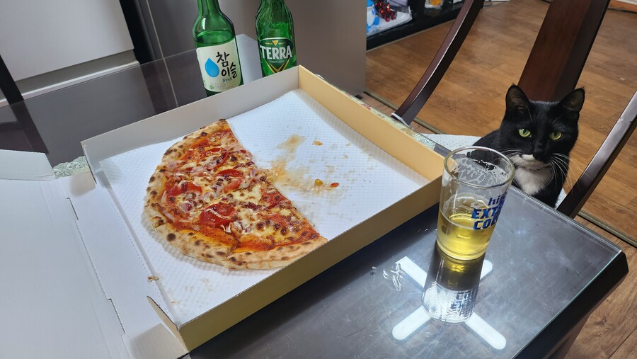 피자 만들어서 야옹이랑 한잔했다_15.jpg