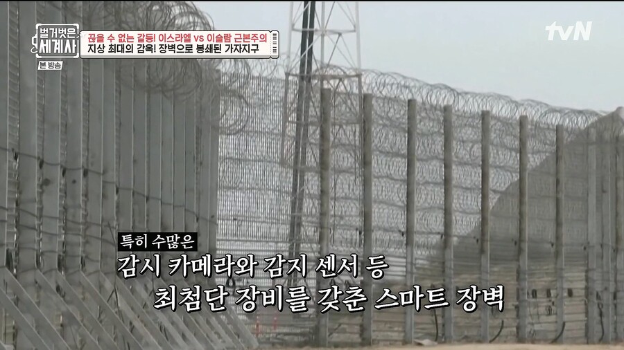 전쟁) 이스라엘과 팔레 전쟁은.. 진짜 평화협상만이 답이긴하네_10.jpg