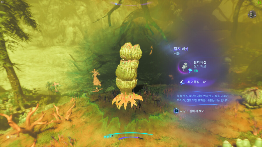 [공략/팁] 희귀한 탐지버섯 채집 위치_4.png