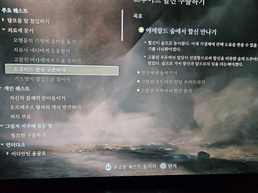 에메랄드 숲에서 할신만나기_1.jpg