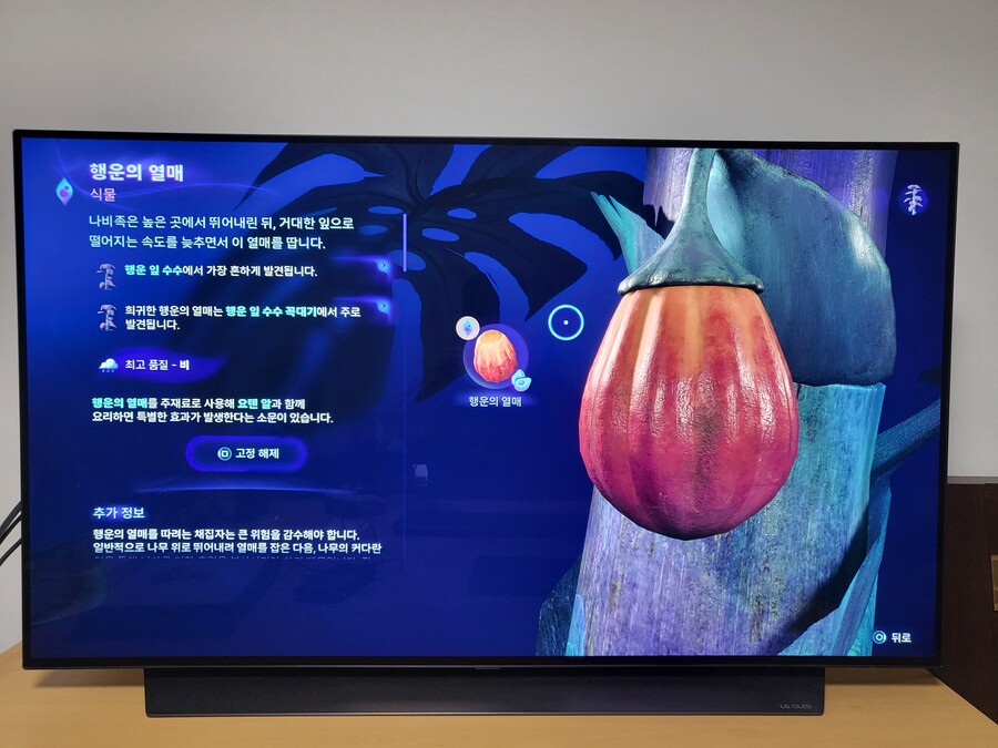 행운의 열매 질문 드립니다_2.jpg