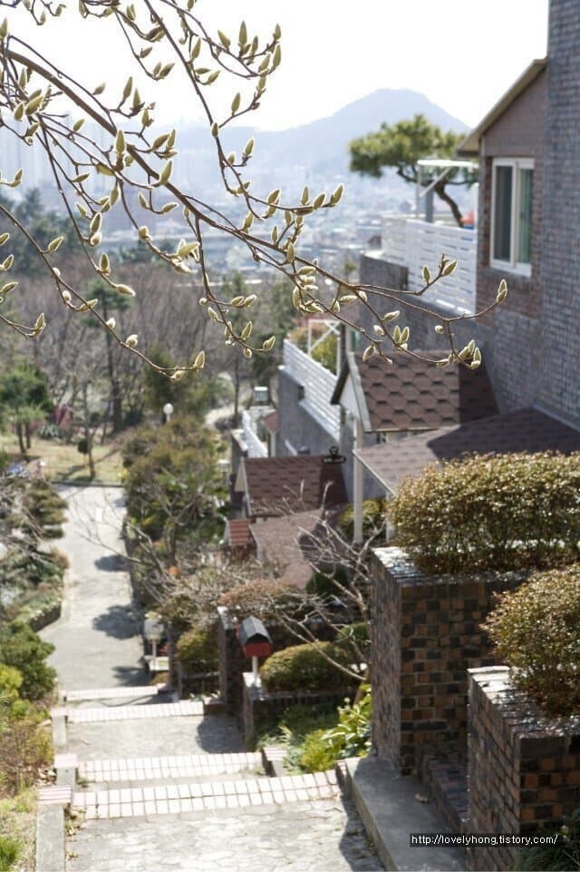 우리나라에 존재하는 가장 특이한 주공아파트_7.jpg