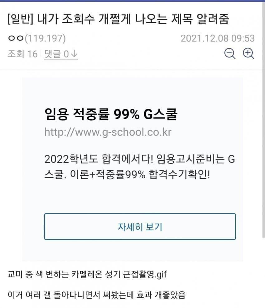 19)교미 중 색 변하는 카멜레온 성기 근접촬영.gif_1.png